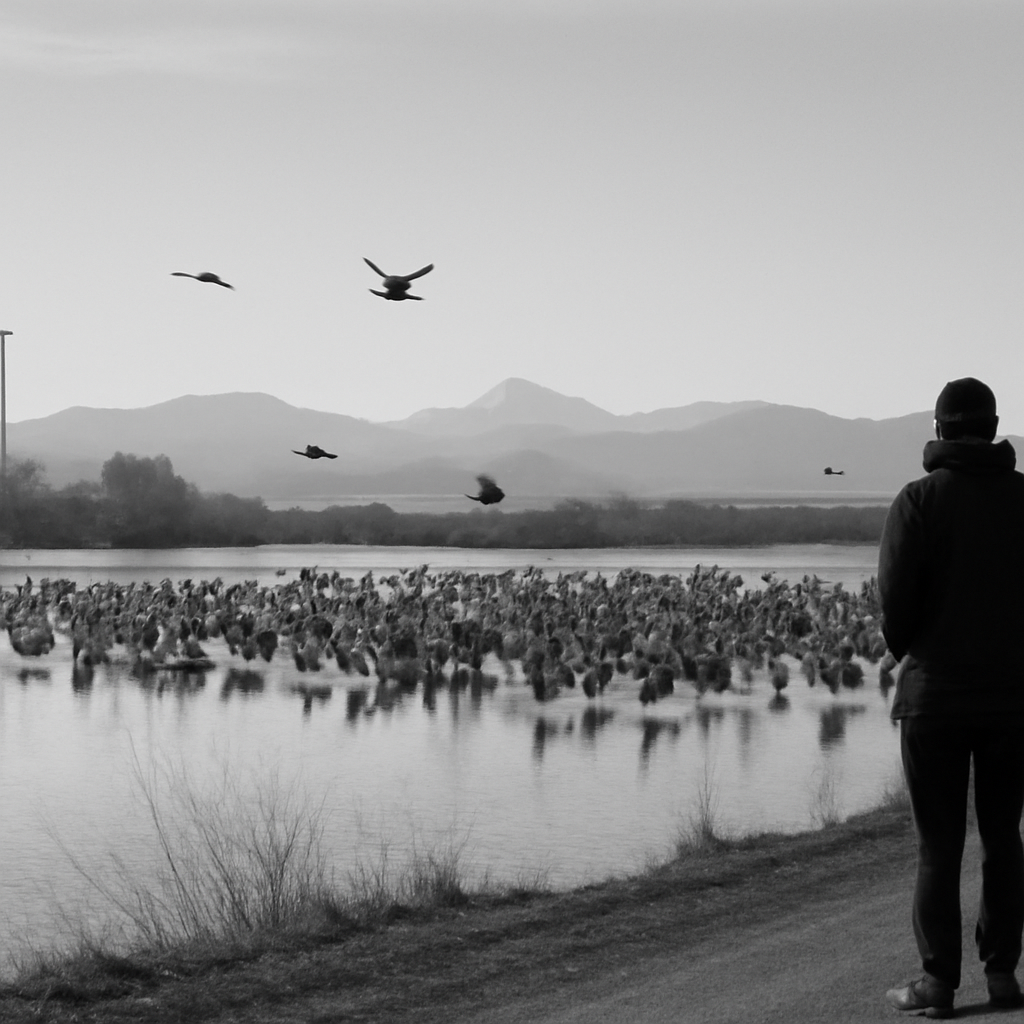 News photograph: Sandhill Cranes Gather at Barr Lake in a Clear, Dry Morning